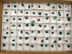 Natural Mini Dioptase Specimens on Dolomite Matrix x 72 From Tantara Mine, Congo