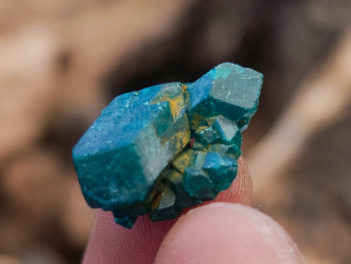 Natural Mini Dioptase Specimens on Dolomite Matrix x 72 From Tantara Mine, Congo