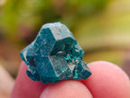 Natural Mini Dioptase Specimens on Dolomite Matrix x 72 From Tantara Mine, Congo