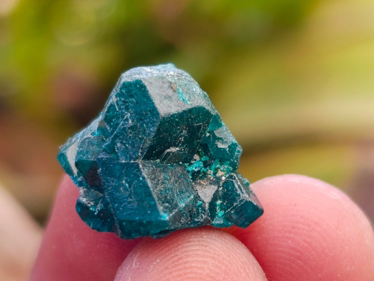 Natural Mini Dioptase Specimens on Dolomite Matrix x 72 From Tantara Mine, Congo