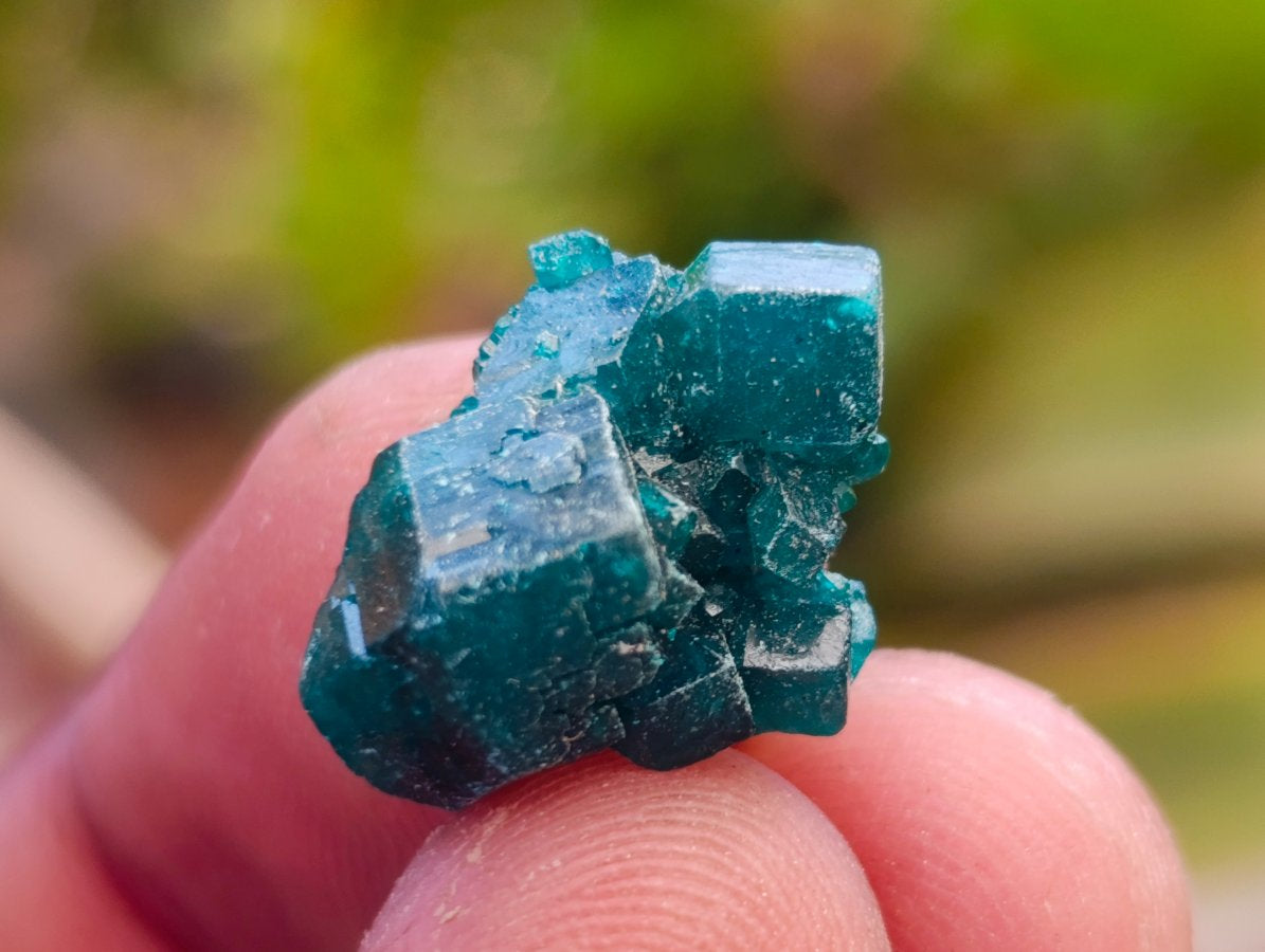 Natural Mini Dioptase Specimens on Dolomite Matrix x 72 From Tantara Mine, Congo