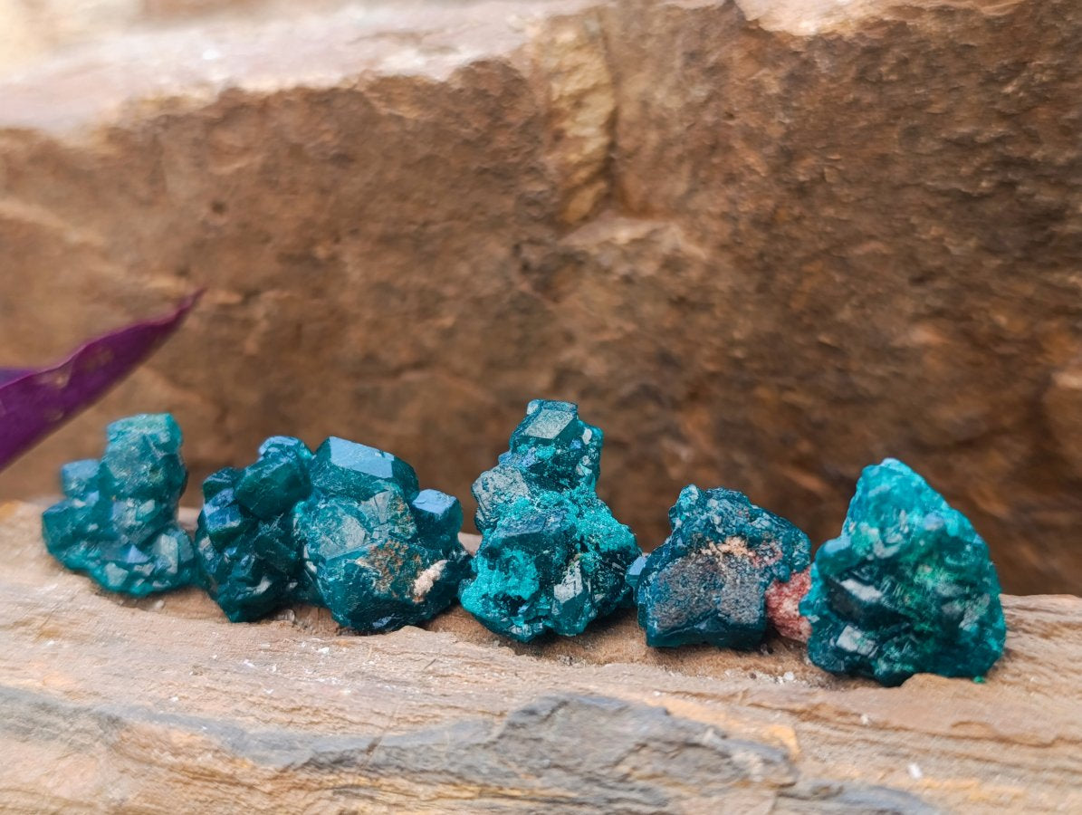 Natural Mini Dioptase Specimens on Dolomite Matrix x 72 From Tantara Mine, Congo