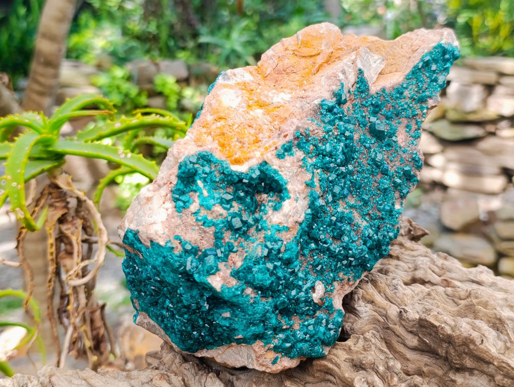 Natural Large Dioptase Specimen on Dolomite Matrix x 1 From Tantara Mine, Congo