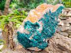 Natural Large Dioptase Specimen on Dolomite Matrix x 1 From Tantara Mine, Congo