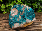 Natural Large Dioptase Specimen on Dolomite Matrix x 1 From Tantara Mine, Congo