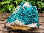 Natural Large Dioptase Specimen on Dolomite Matrix x 1 From Tantara Mine, Congo
