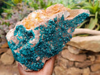 Natural Large Dioptase Specimen on Dolomite Matrix x 1 From Tantara Mine, Congo