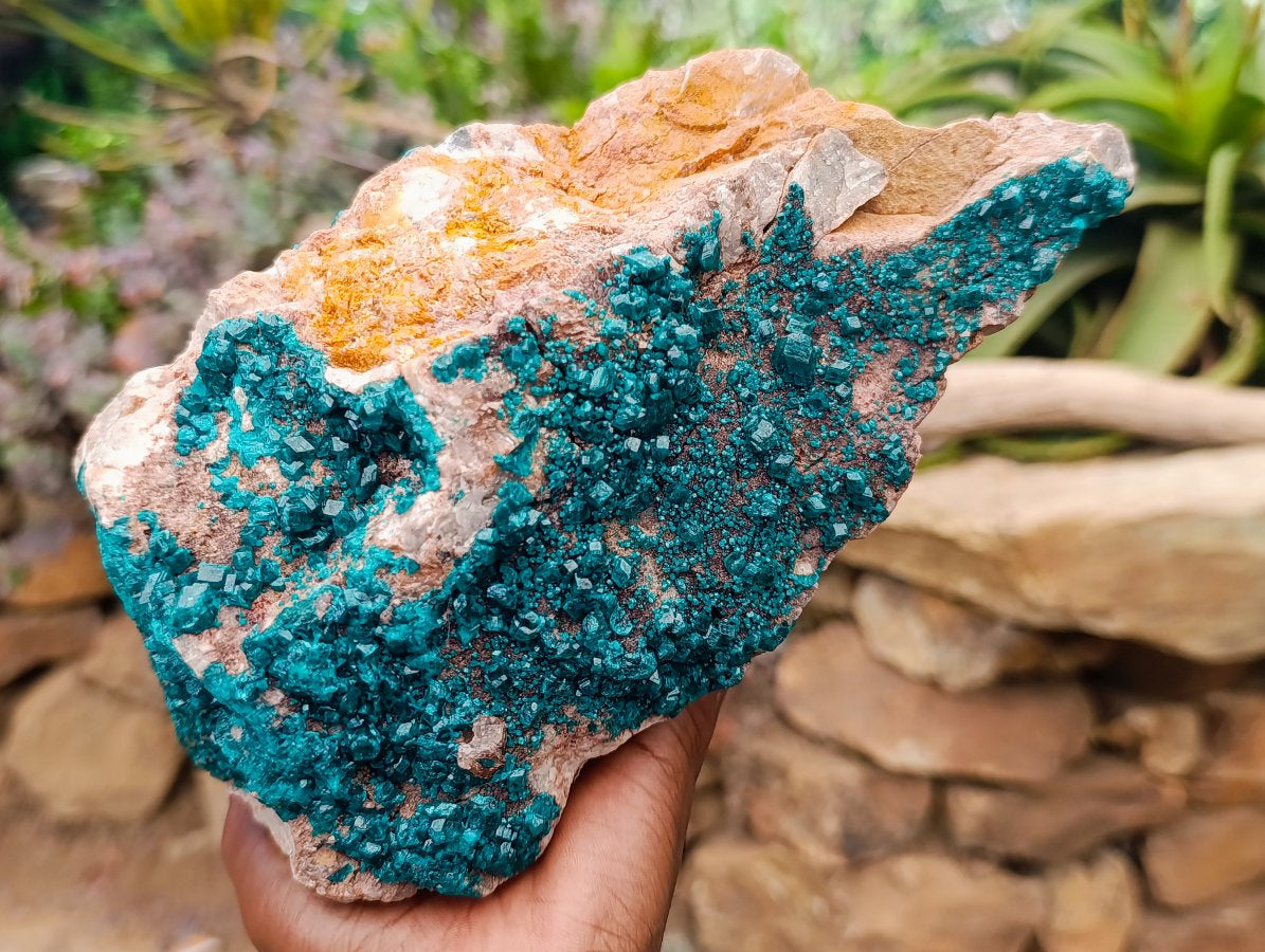Natural Large Dioptase Specimen on Dolomite Matrix x 1 From Tantara Mine, Congo