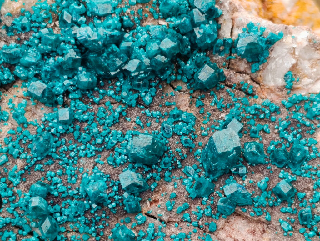 Natural Large Dioptase Specimen on Dolomite Matrix x 1 From Tantara Mine, Congo