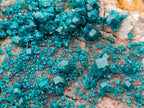 Natural Large Dioptase Specimen on Dolomite Matrix x 1 From Tantara Mine, Congo