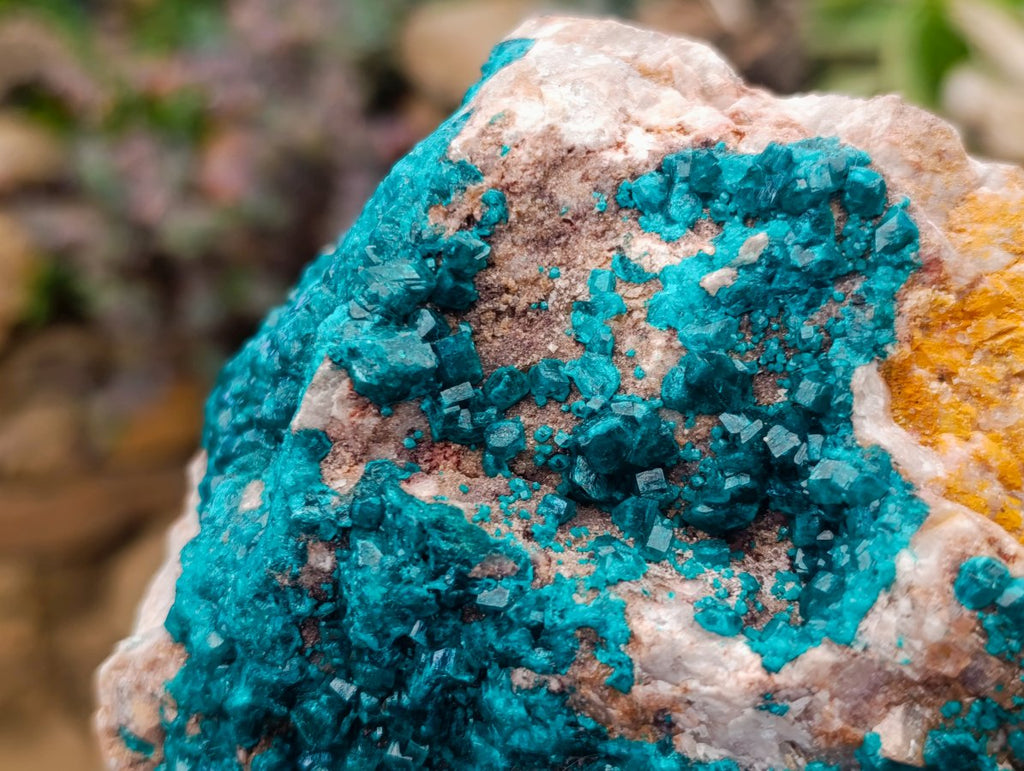 Natural Large Dioptase Specimen on Dolomite Matrix x 1 From Tantara Mine, Congo