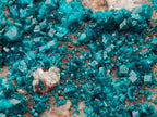 Natural Large Dioptase Specimen on Dolomite Matrix x 1 From Tantara Mine, Congo