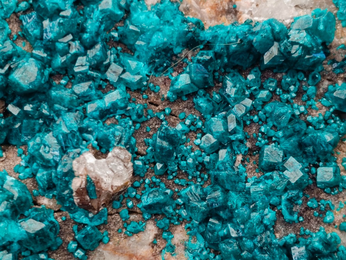 Natural Large Dioptase Specimen on Dolomite Matrix x 1 From Tantara Mine, Congo