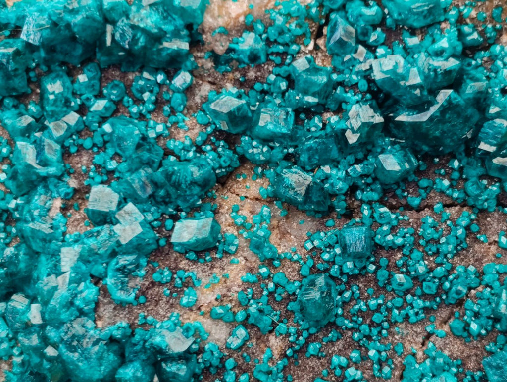 Natural Large Dioptase Specimen on Dolomite Matrix x 1 From Tantara Mine, Congo