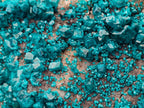 Natural Large Dioptase Specimen on Dolomite Matrix x 1 From Tantara Mine, Congo