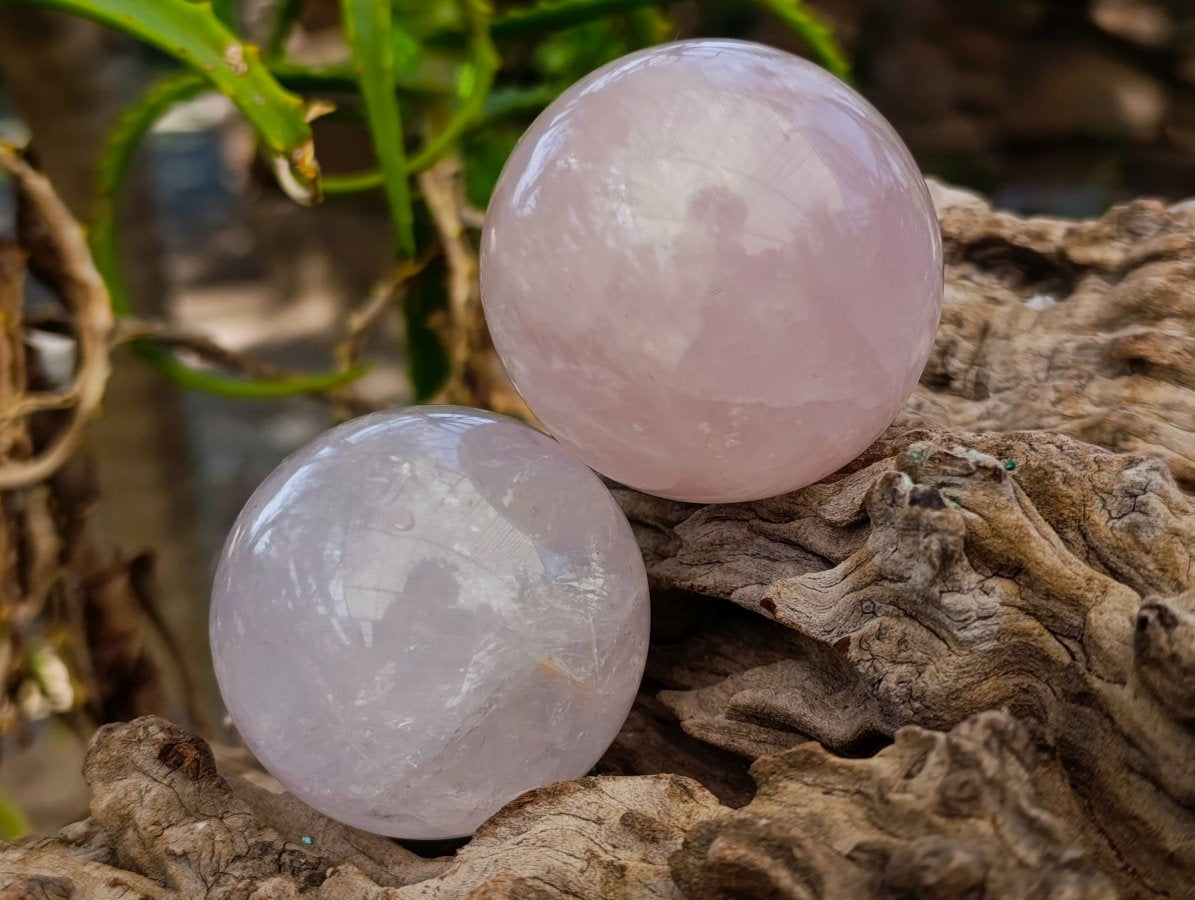 Polished Gemmy Rose Quartz Spheres x 6 From Madagascar