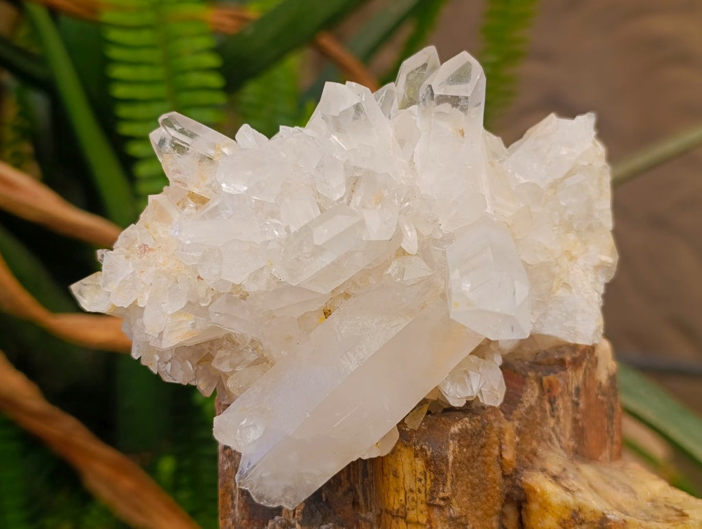Natural Malagasy Quartz Clusters x 4 From Madagascar