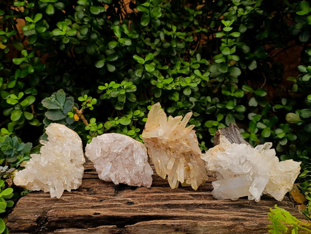 Natural Malagasy Quartz Clusters x 4 From Madagascar