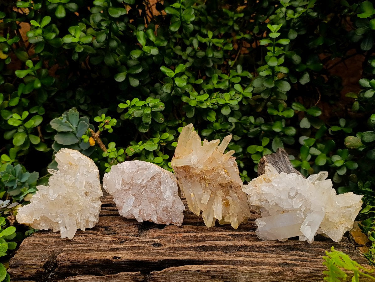Natural Malagasy Quartz Clusters x 4 From Madagascar