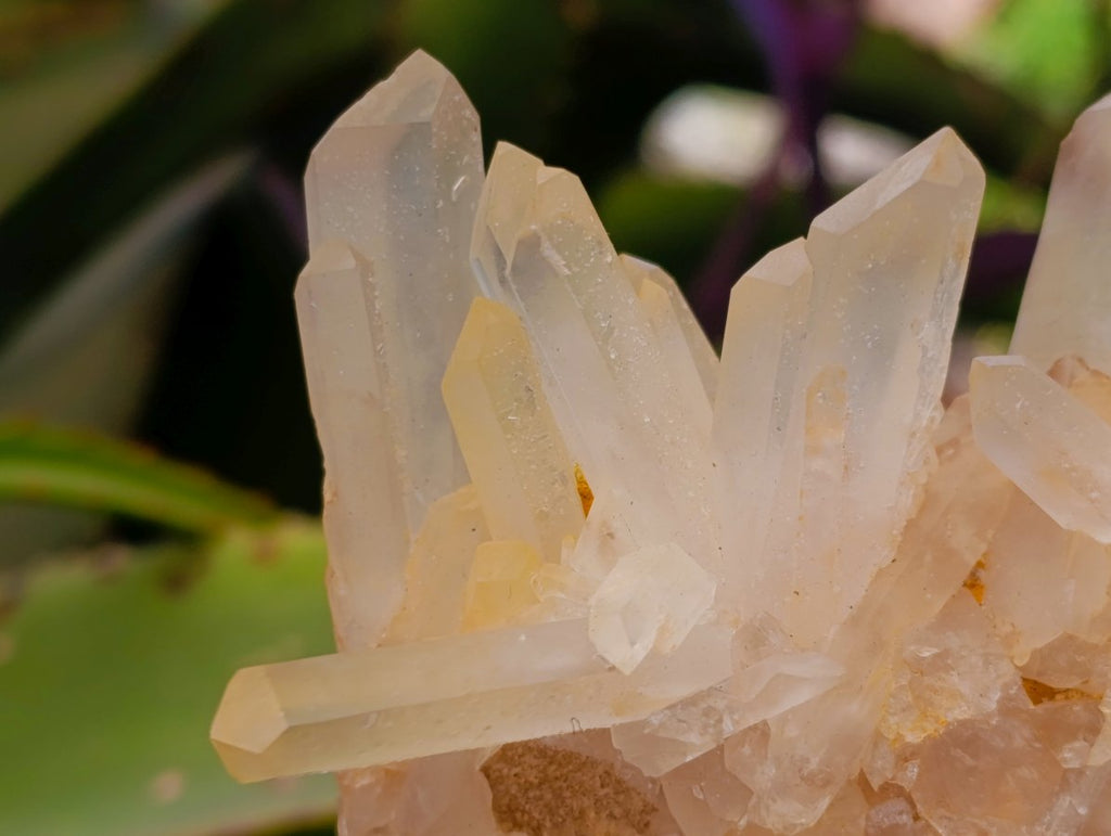 Natural Malagasy Quartz Clusters x 4 From Madagascar