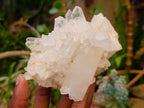Natural Malagasy Quartz Clusters x 4 From Madagascar