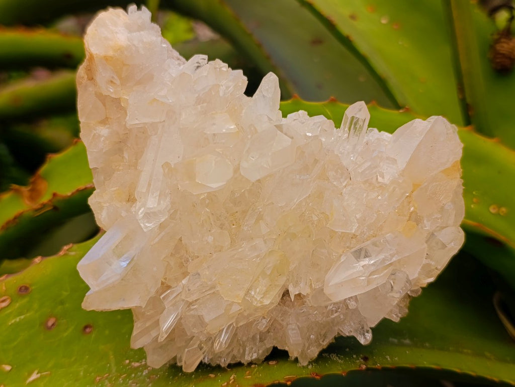 Natural Malagasy Quartz Clusters x 4 From Madagascar