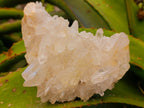 Natural Malagasy Quartz Clusters x 4 From Madagascar