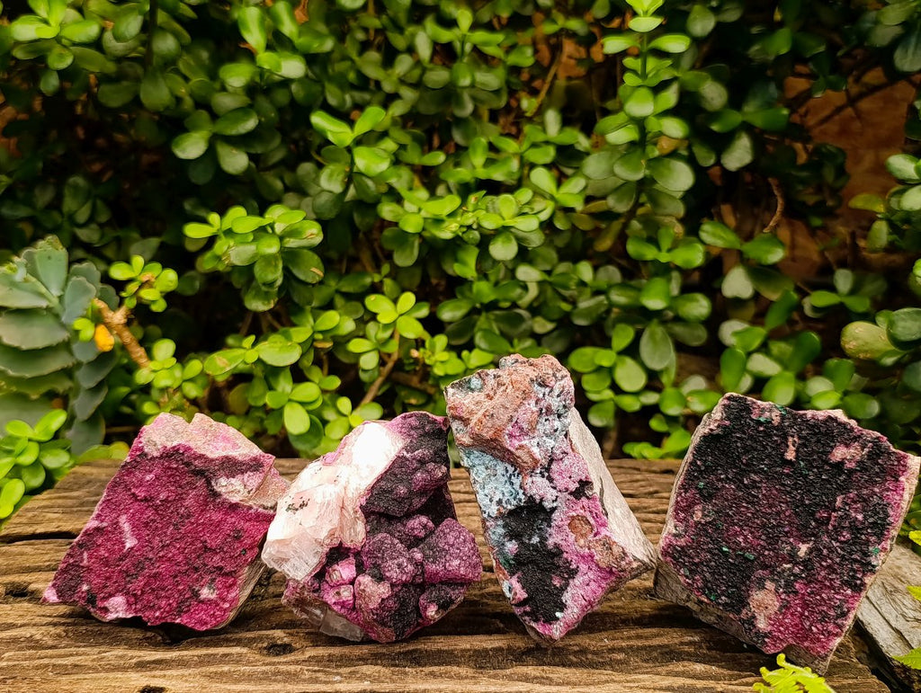 Natural Salrose Cobaltoan Dolomite Specimens with Heterogenite x 4 From Kakanda, Congo