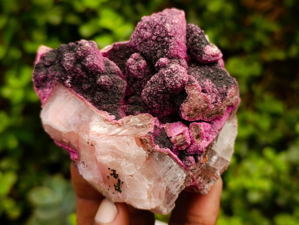 Natural Salrose Cobaltoan Dolomite Specimens with Heterogenite x 4 From Kakanda, Congo