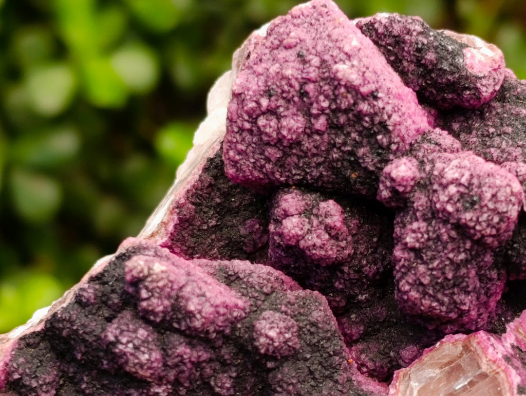 Natural Salrose Cobaltoan Dolomite Specimens with Heterogenite x 4 From Kakanda, Congo