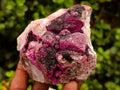 Natural Salrose Cobaltoan Dolomite Specimens with Heterogenite x 4 From Kakanda, Congo