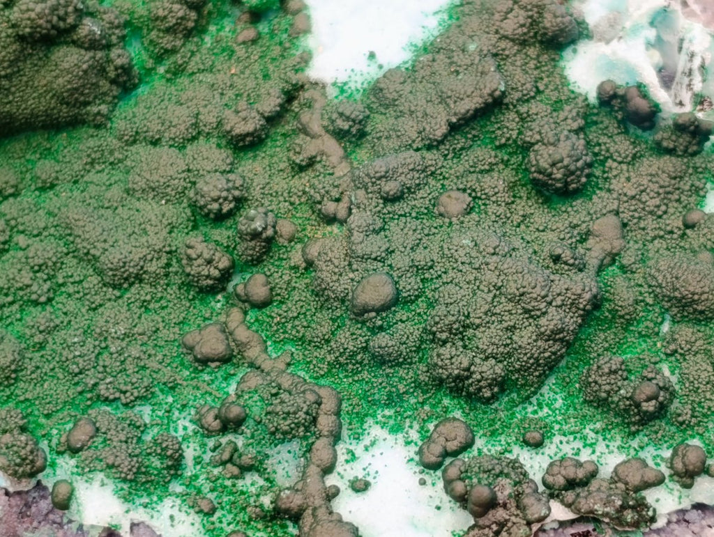 Natural Rare Drusy Coated Chrysocolla Specimens with Malachite x 2 From Lupoto Mine, Congo