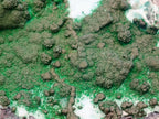Natural Rare Drusy Coated Chrysocolla Specimens with Malachite x 2 From Lupoto Mine, Congo