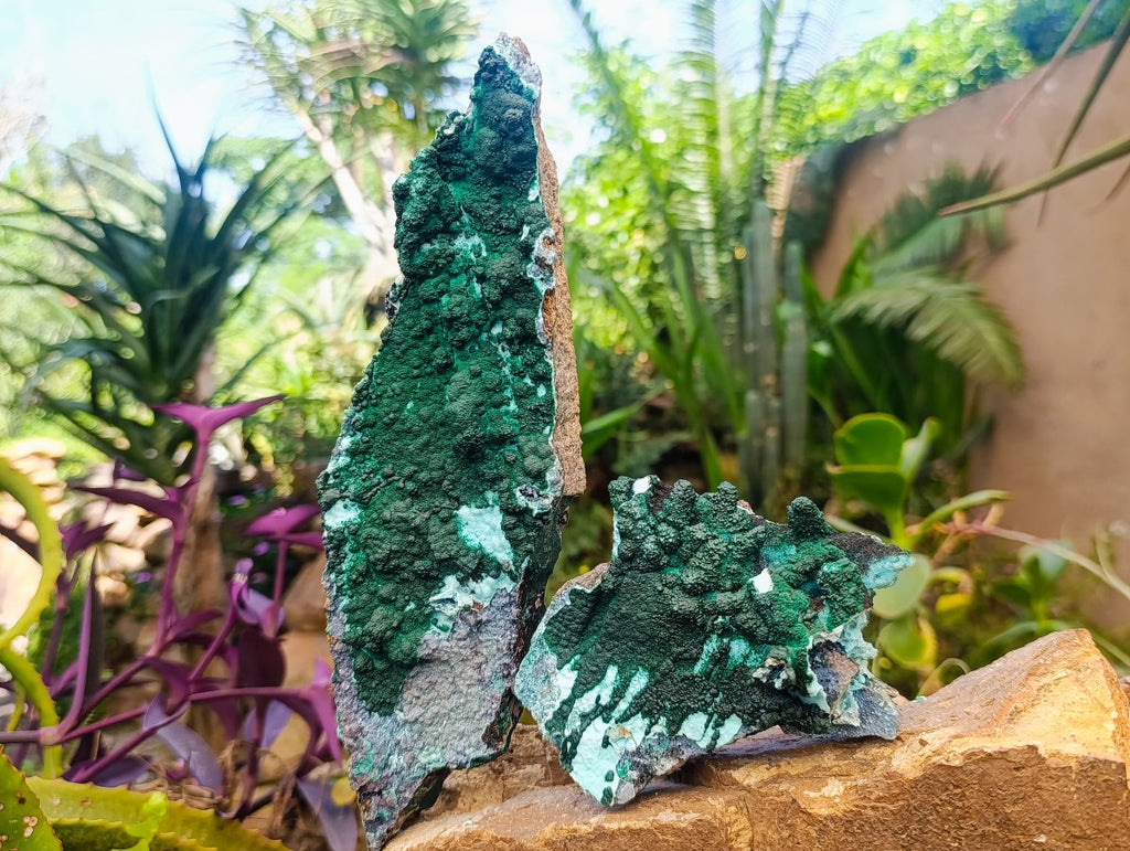 Natural Rare Drusy Coated Chrysocolla Specimens with Malachite x 2 From Lupoto Mine, Congo