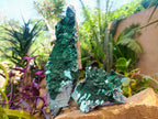 Natural Rare Drusy Coated Chrysocolla Specimens with Malachite x 2 From Lupoto Mine, Congo