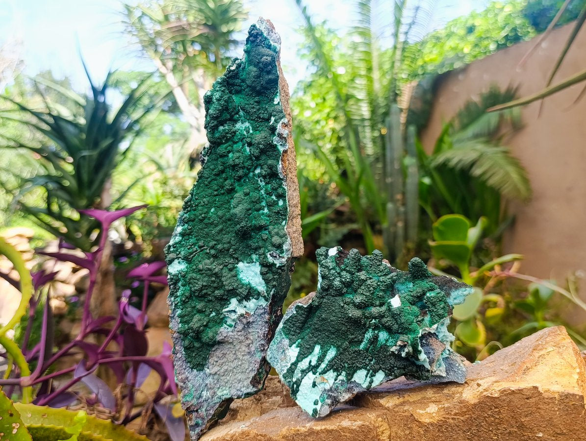 Natural Rare Drusy Coated Chrysocolla Specimens with Malachite x 2 From Lupoto Mine, Congo
