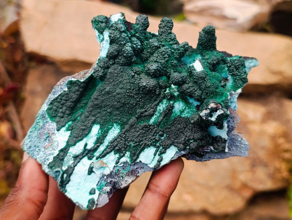 Natural Rare Drusy Coated Chrysocolla Specimens with Malachite x 2 From Lupoto Mine, Congo