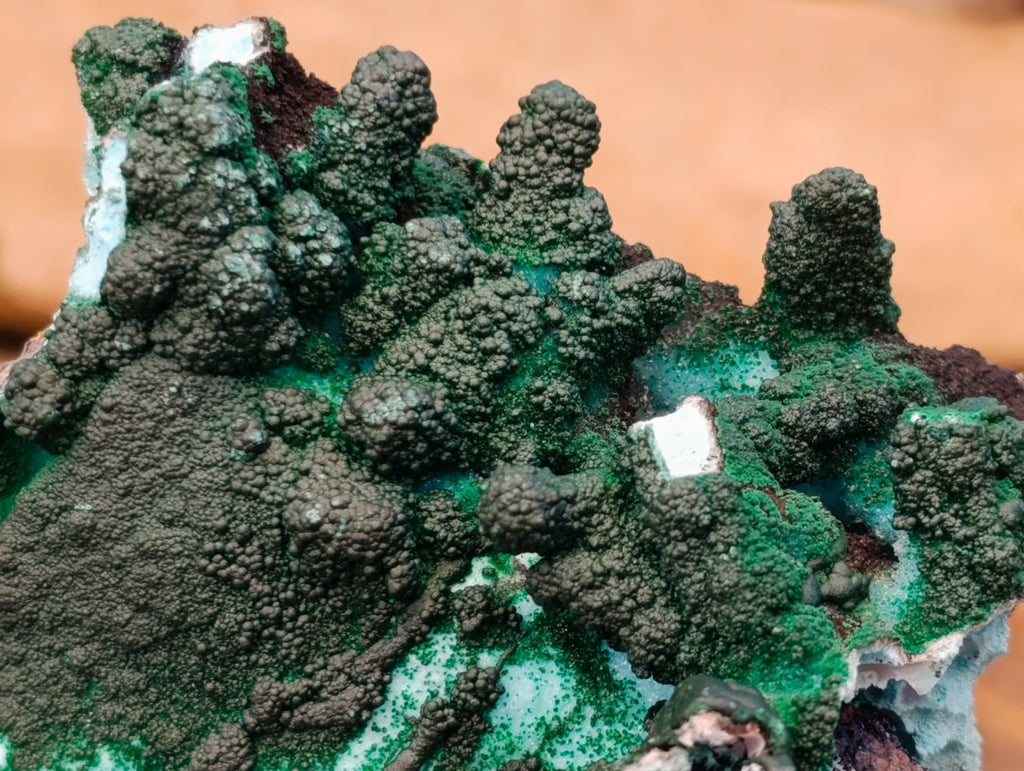 Natural Rare Drusy Coated Chrysocolla Specimens with Malachite x 2 From Lupoto Mine, Congo
