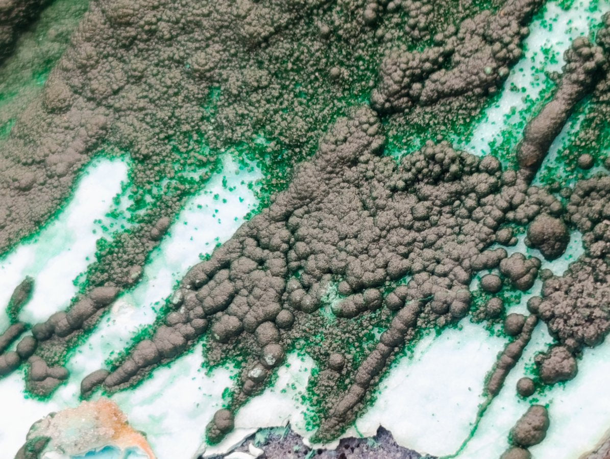 Natural Rare Drusy Coated Chrysocolla Specimens with Malachite x 2 From Lupoto Mine, Congo