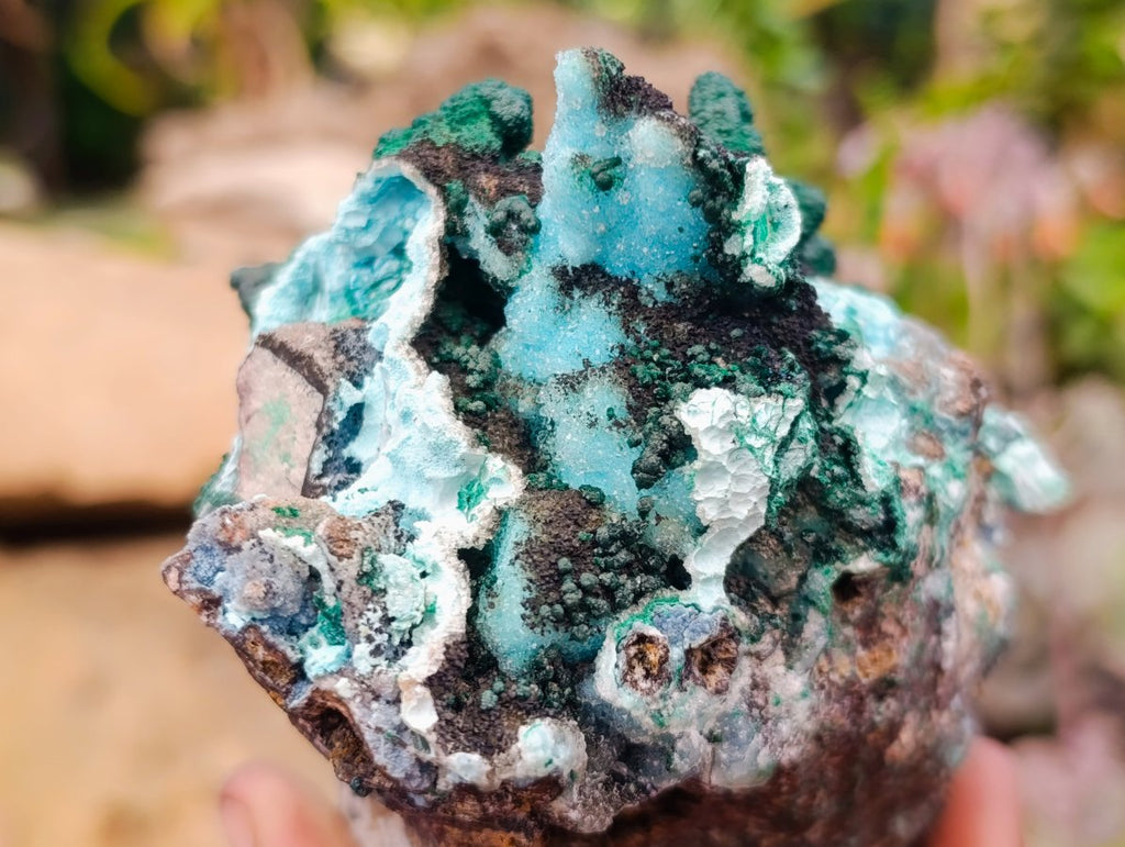 Natural Rare Drusy Coated Chrysocolla Specimens with Malachite x 2 From Lupoto Mine, Congo