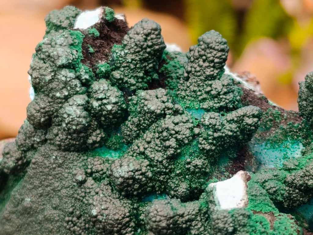 Natural Rare Drusy Coated Chrysocolla Specimens with Malachite x 2 From Lupoto Mine, Congo