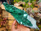 Natural Rare Drusy Coated Chrysocolla Specimens with Malachite x 2 From Lupoto Mine, Congo
