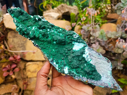 Natural Rare Drusy Coated Chrysocolla Specimens with Malachite x 2 From Lupoto Mine, Congo