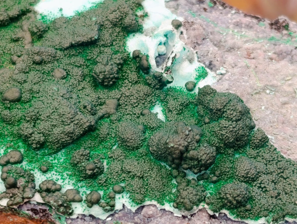 Natural Rare Drusy Coated Chrysocolla Specimens with Malachite x 2 From Lupoto Mine, Congo
