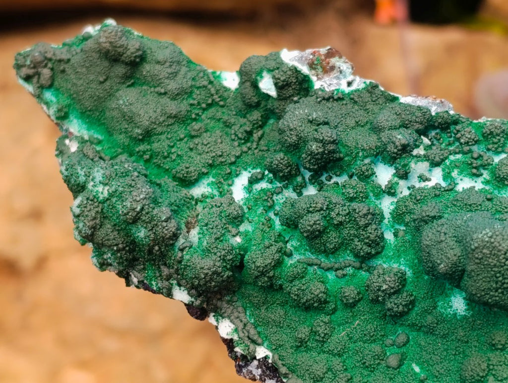 Natural Rare Drusy Coated Chrysocolla Specimens with Malachite x 2 From Lupoto Mine, Congo