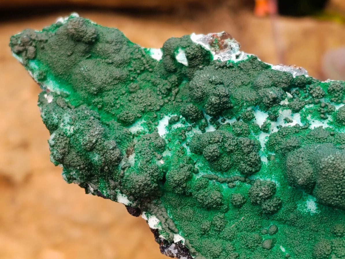 Natural Rare Drusy Coated Chrysocolla Specimens with Malachite x 2 From Lupoto Mine, Congo