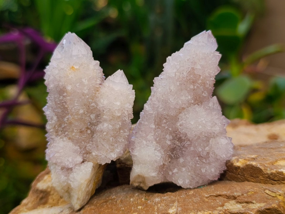 Natural Spirit Amethyst Clusters x 12 From Boekenhouthoek, South Africa