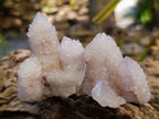 Natural Spirit Amethyst Clusters x 12 From Boekenhouthoek, South Africa