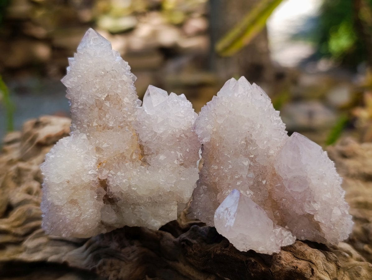 Natural Spirit Amethyst Clusters x 12 From Boekenhouthoek, South Africa