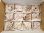 Natural Spirit Amethyst Clusters x 12 From Boekenhouthoek, South Africa